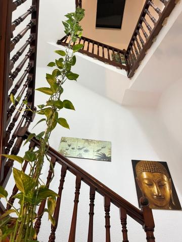 Nomad Villa Santa Fe — photo 17
