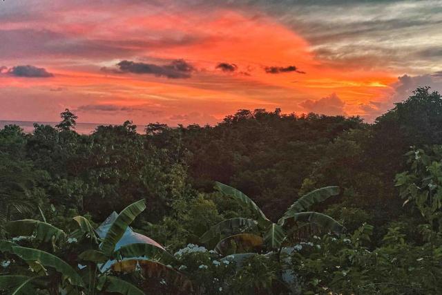 Jungle KingDomes Guest House — photo 16