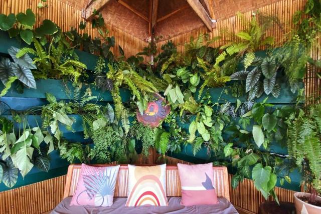 Jungle KingDomes Guest House — photo 19