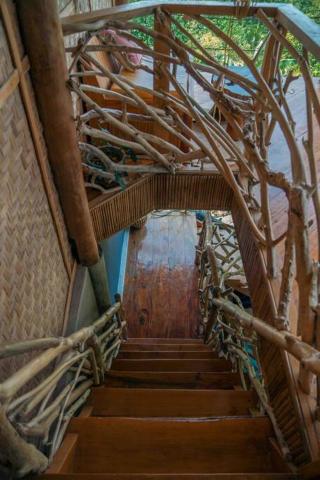 Jungle KingDomes Guest House — photo 23