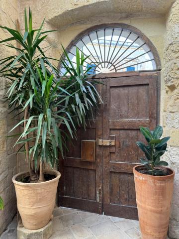 LuLeccio — photo 24
