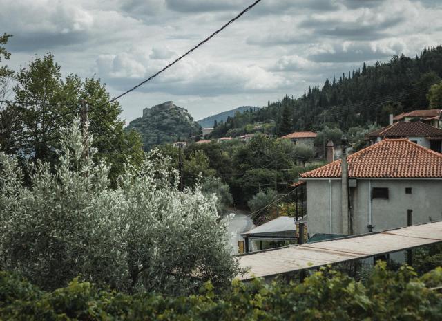 Acropolis Mystra Guesthouse — photo 11