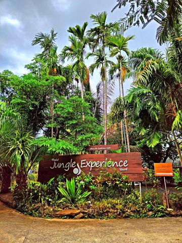 Phuket Jungle Experience Resort — photo 3