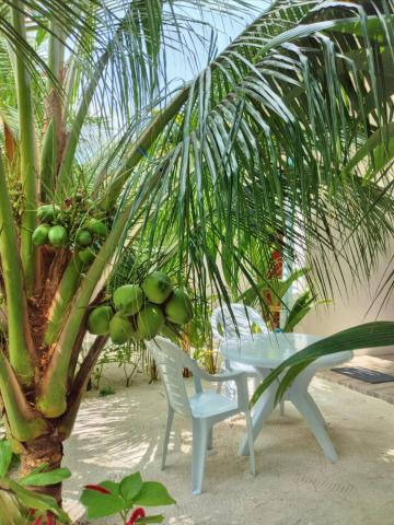 Beach Sunrise Inn — photo 13