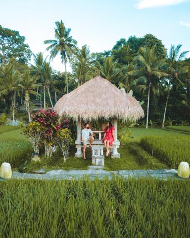 MATHIS Retreat Ubud — photo 4