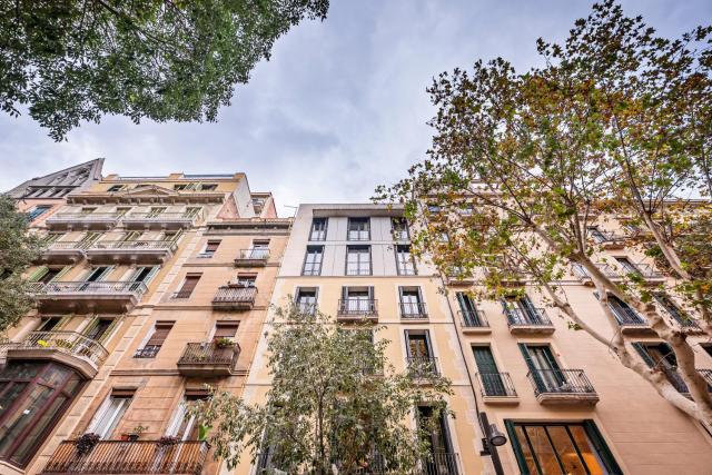 Sweett - Casa Girona — photo 21