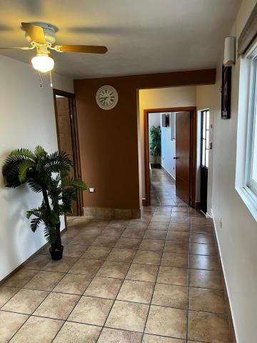 Hotel Jardín del Cantador — photo 20