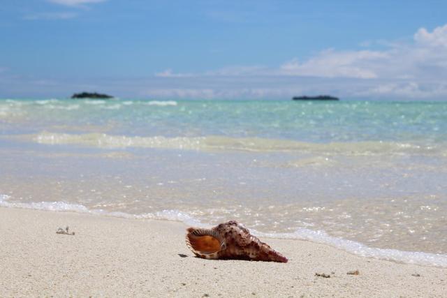 MAMELLO Beach Club Maldives — photo 24