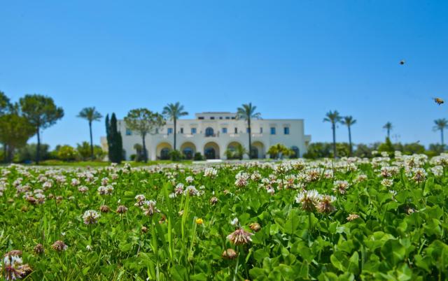 Masseria La Baronessa Resort — photo 11