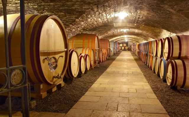 Chateau de Chassagne-Montrachet — photo 20