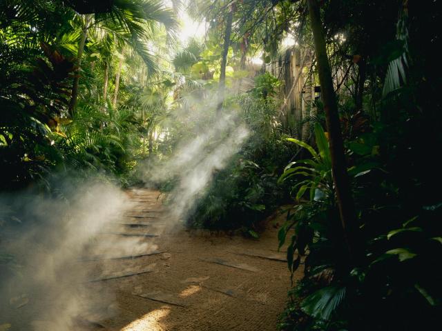 BE Destination Tulum — photo 18