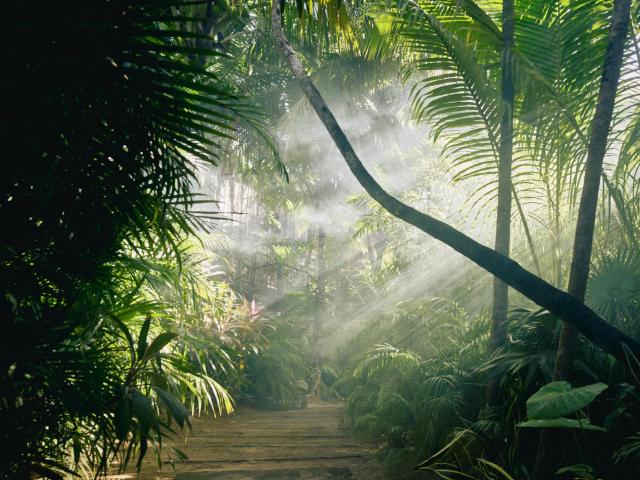 BE Destination Tulum — photo 19
