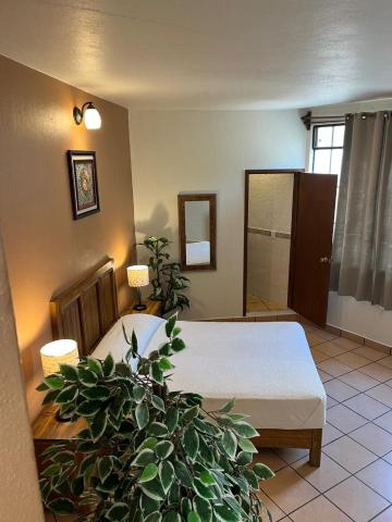 Hotel Jardín del Cantador — photo 15