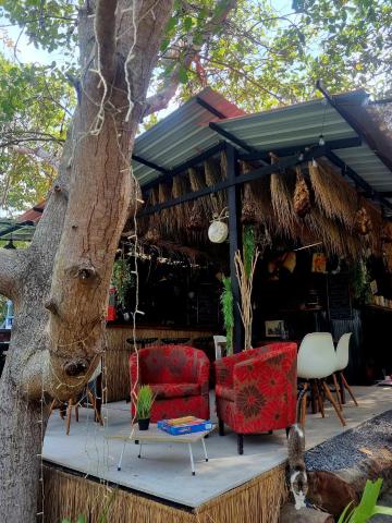 CyKali Garden Bungalows — photo 21