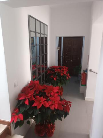Suites Casa San Mateo — photo 13