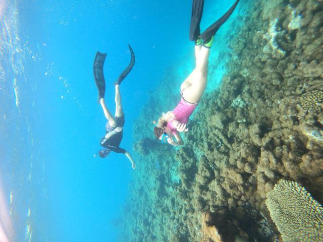 Manta Sea View — photo 23