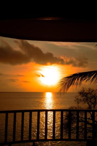 Manta Sea View — photo 21