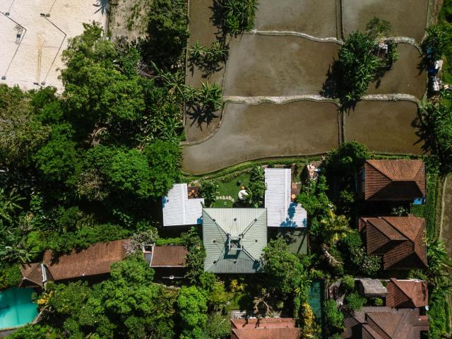Grün Ubud — photo 24
