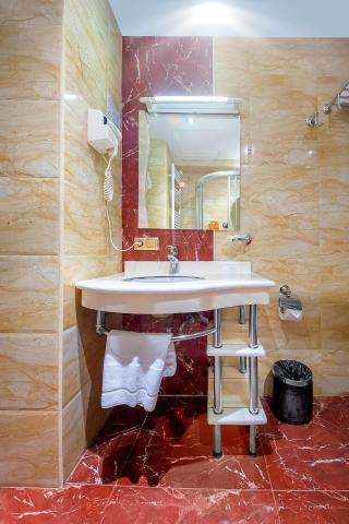Cron Palace kosher Tbilisi Hotel — photo 15