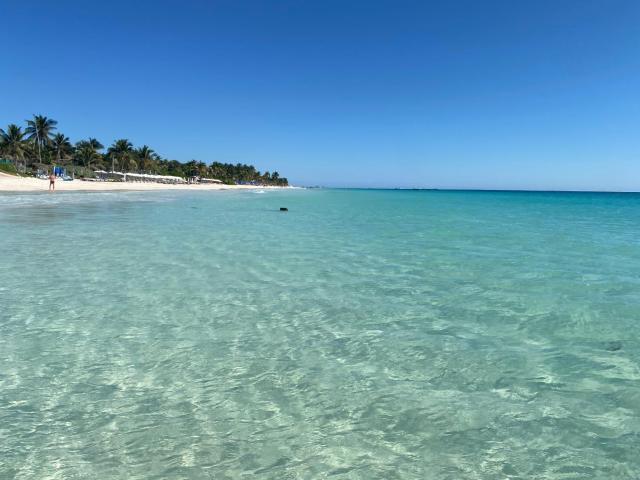 Maison Tulum — photo 7