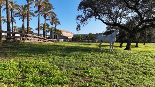 Alojamiento Rural Finca Barral — photo 21
