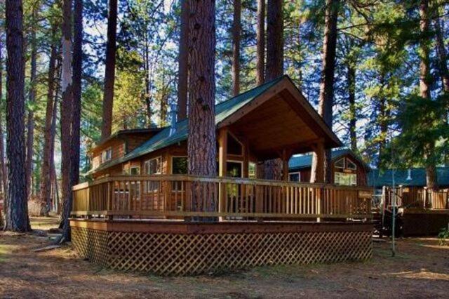 Cold Springs Resort — photo 21