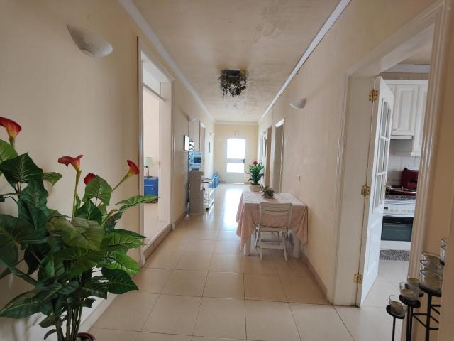 Alma libre — photo 15