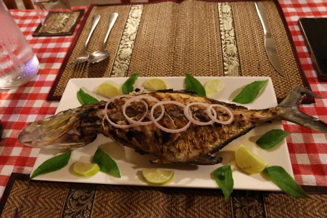 Hanifaru Transit Inn — photo 23