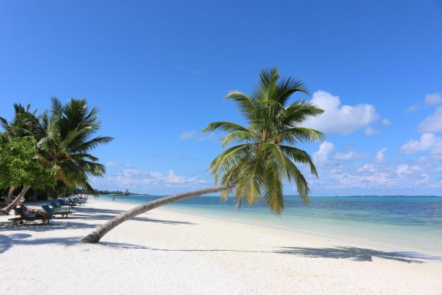 Canareef Resort Maldives — photo 10