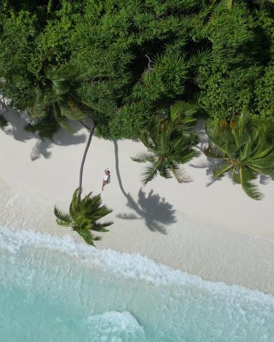 Stay Mikado - Maldives — photo 22