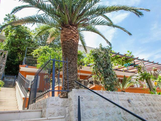 Guest House Amfora — photo 5