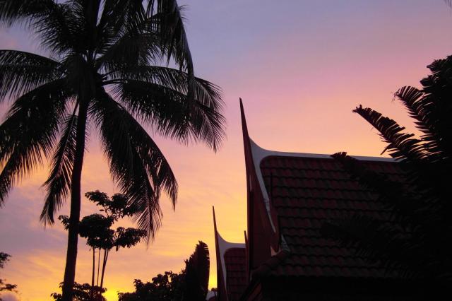 Palm Village — photo 19