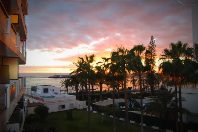 COMODORO- RAVEL — photo 20