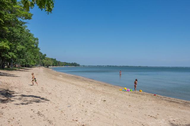 Cozy Cove Resort — photo 13