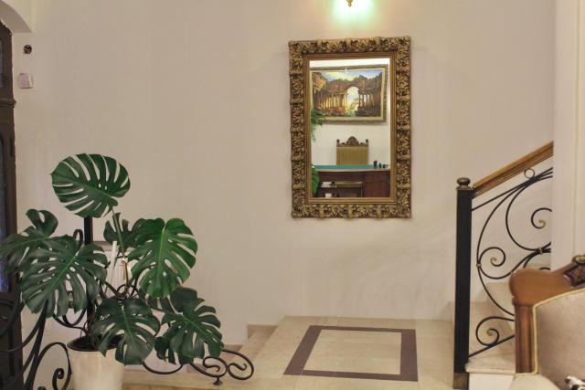 Luxor Garden — photo 21