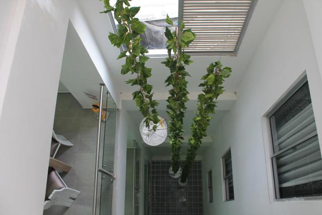 Hotel Guadalupe Plaza — photo 12