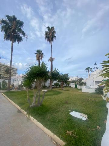 The Best House Tenerife Habitaciones Compartidas — photo 16