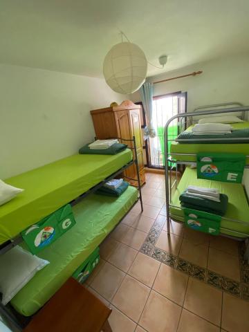 The Best House Tenerife Habitaciones Compartidas — photo 8