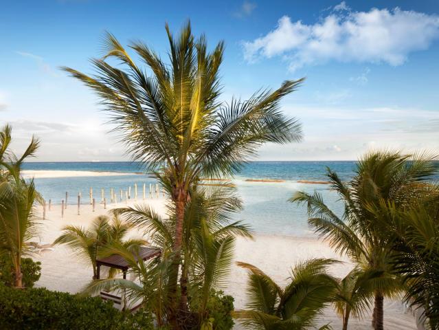 El Dorado Maroma, All & More Inclusive - Adults Only — photo 15