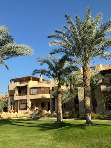 palm shadow resort — photo 5