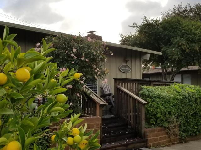 Carmel Valley Lodge — photo 10