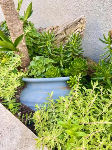 ON THE WAY - Mindelo Beach/Guest House — photo 19