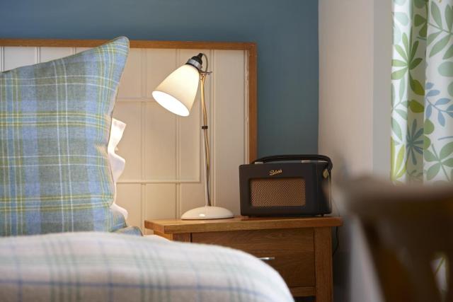 Y Meirionnydd Boutique Hotel — photo 6