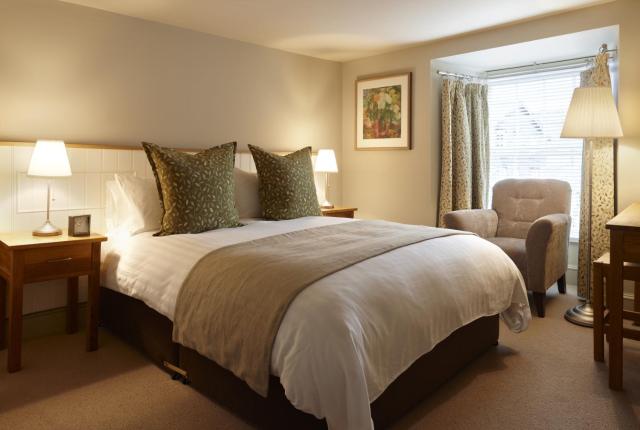 Y Meirionnydd Boutique Hotel — photo 13
