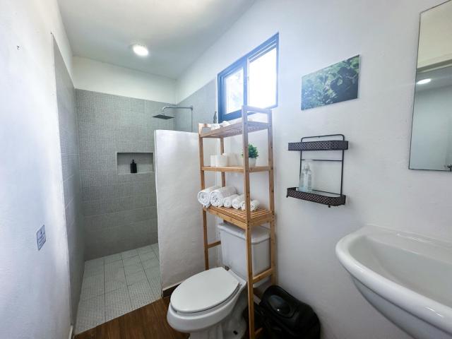 La Perle Noire - Dive Hotel Cozumel — photo 19
