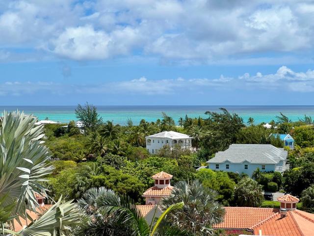 Extra spacious oceanview condo 5 min from pristine beach — photo 10