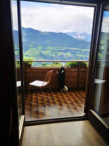 Biogasthaus Plonerhof "sweet Dolomites view" — photo 24