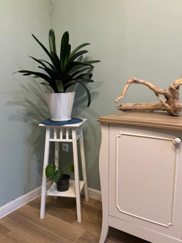 Villa Flora — photo 18