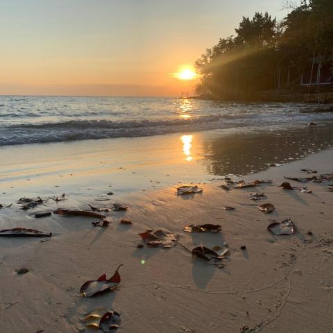 Koh Samed Lungdam Hutbeach เกาะเสม็ดลุงดำฮัทบีช — photo 24