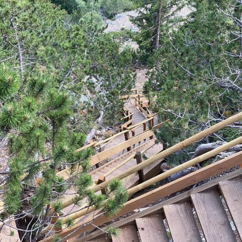 Hotel L'Edelweiss — photo 12